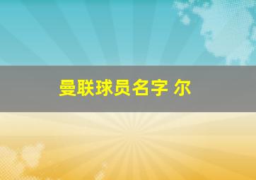 曼联球员名字 尔